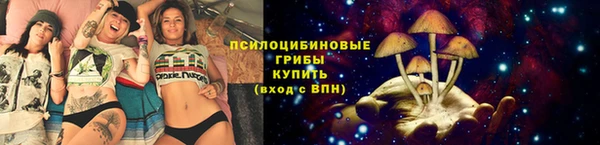 герыч Богородск