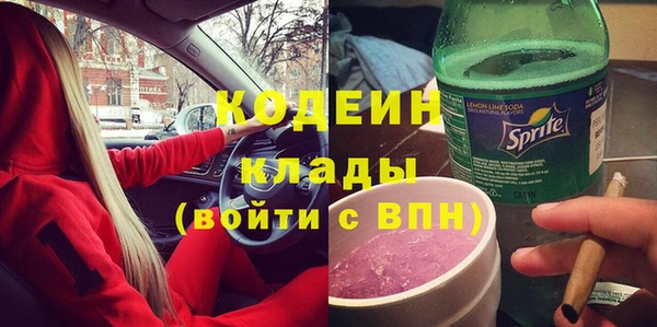 ПСИЛОЦИБИНОВЫЕ ГРИБЫ Богданович