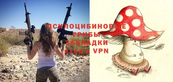 прущая мука Богородицк